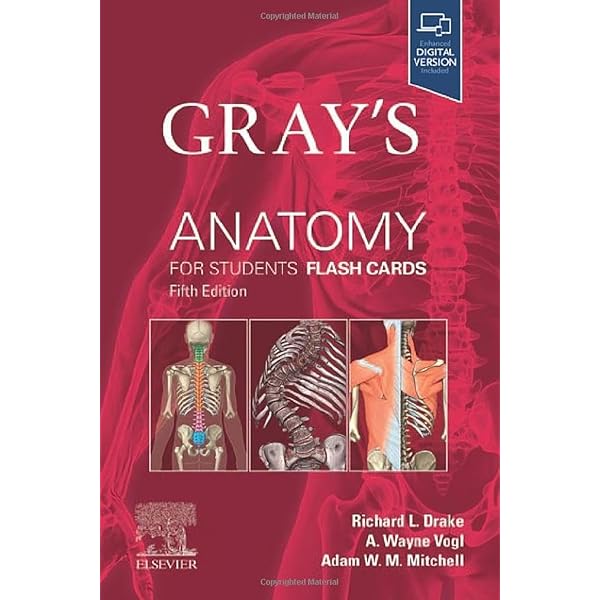 Gray's Anatomy for Students : Drake, Richard L., Vogl, A